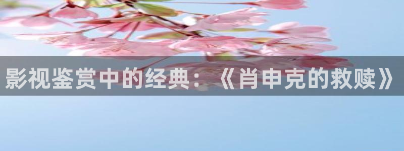 樱花视频专注