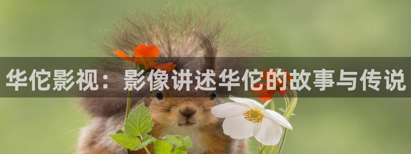 樱花影院在线视频免费观看电视剧