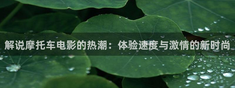 樱花视频好爽