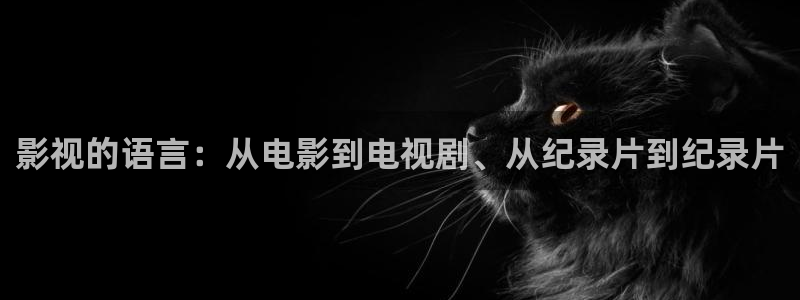樱花视频下集完整版