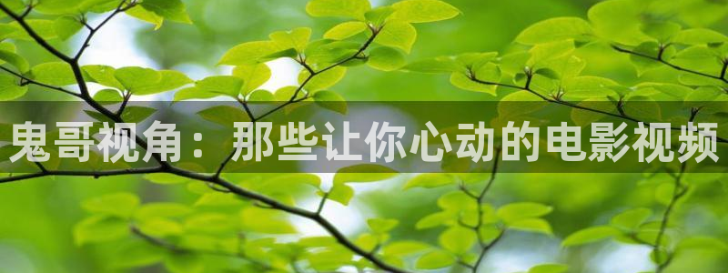 樱花影视大全免费观看