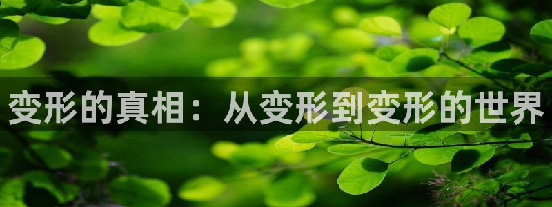 下载樱花影院