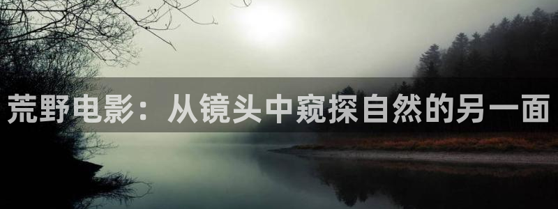 樱花视频最新网址