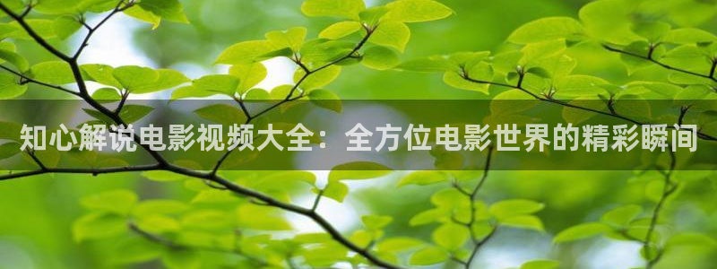 樱花视频樱花视频