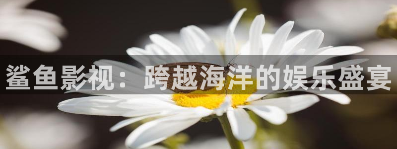 樱花影院免费观看电视剧