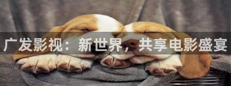 后宫露营樱花视频