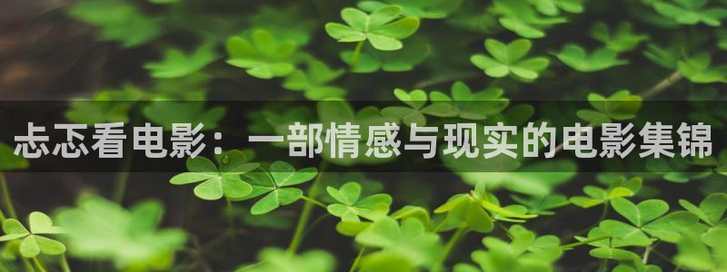 免费在线观看樱花视频