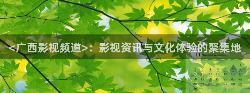 贤者之孙动漫樱花视频