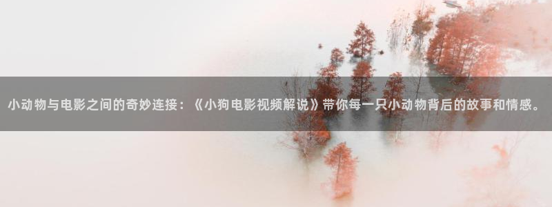 樱花视频搞基