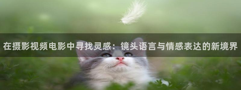 樱花影院在线免费观看