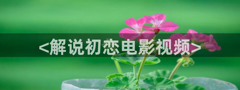 樱花视频n