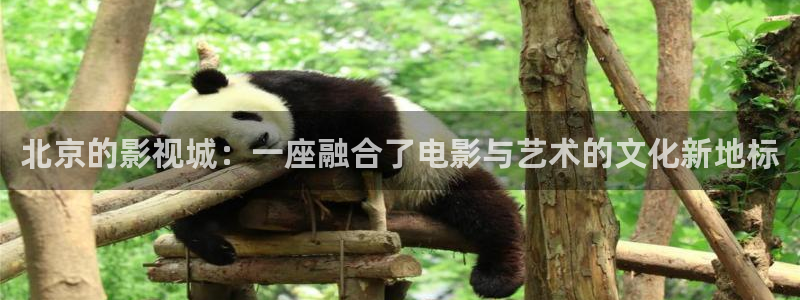 樱花影视频道