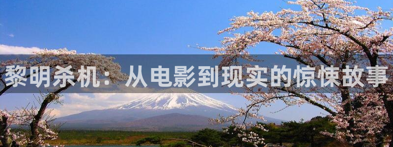樱花视频xxx