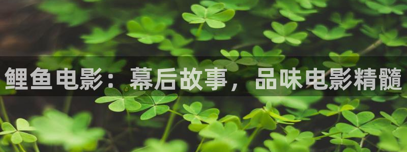 樱花影院视频