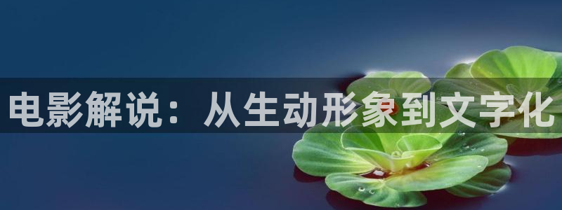 樱花影视一区二区