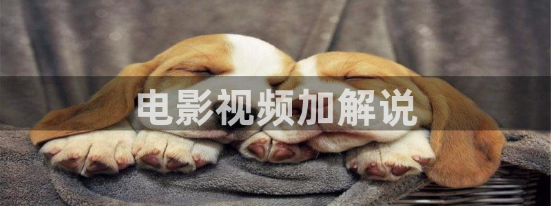 樱花视频在线观看免费完整版