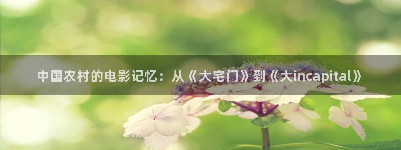 樱花视频在线观看电视剧免费