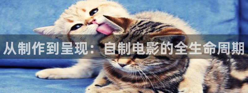 樱花视频版免费版