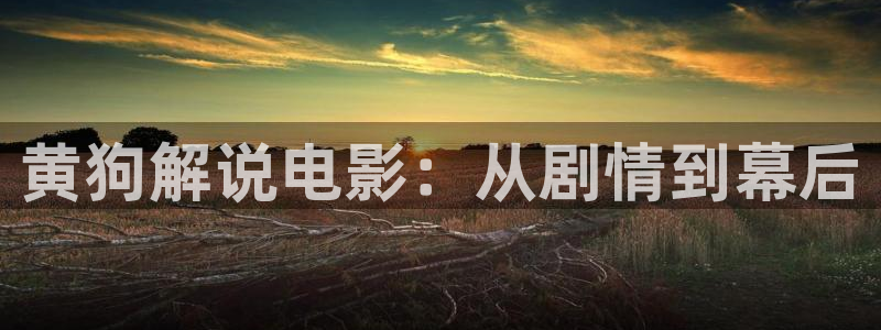 樱花影院高清电影好看的电视剧免费