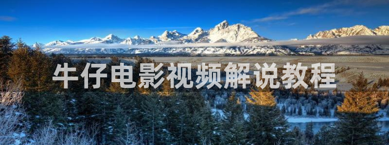 无颜之月樱花视频