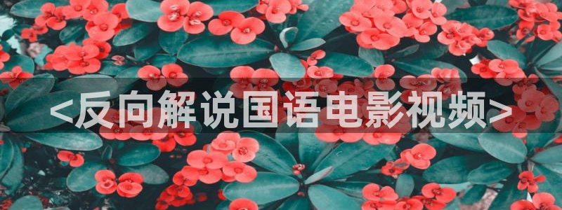 www..com樱花视频