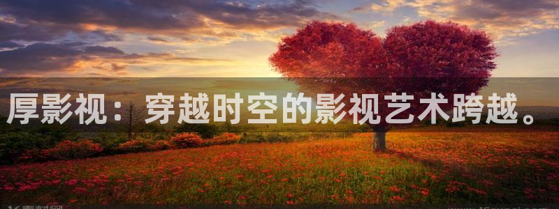 樱花视频在线观看电视剧高清