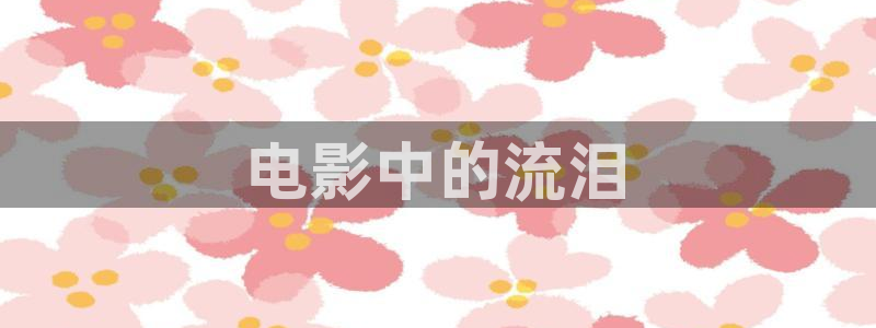 樱花视频ppt