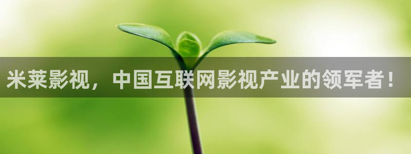 樱花视频在线观看电视剧大全播放