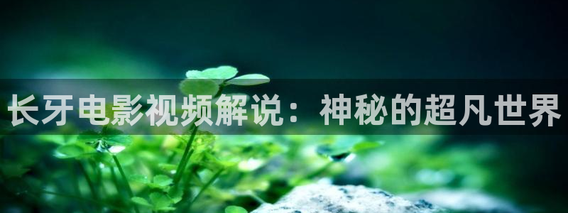 樱花视频老版本