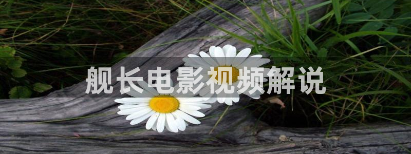 樱花影院网页版