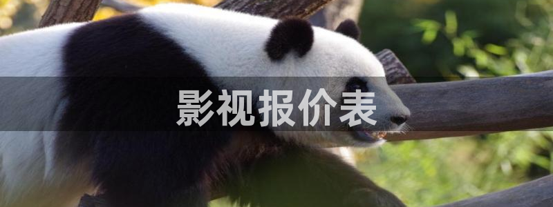 樱花视频最新地址